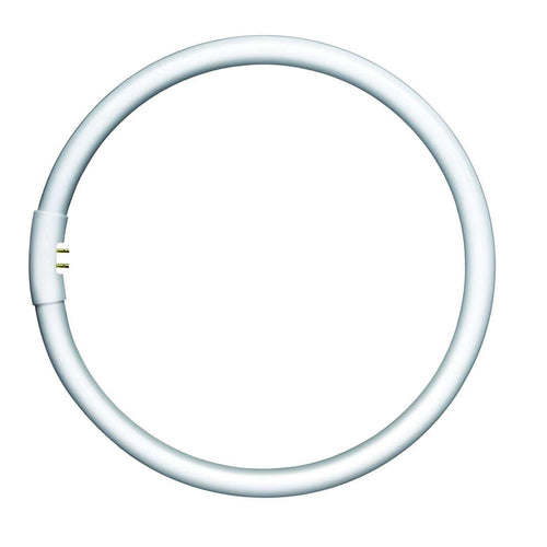 Circular T5 Fluorescent Tube