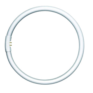 Circular T5 Fluorescent Tube