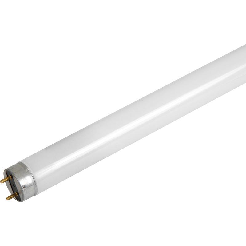 Linear T8 Fluorescent Tube